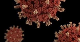 Staying the Course – Coronavirus and Stock Market Volatility
