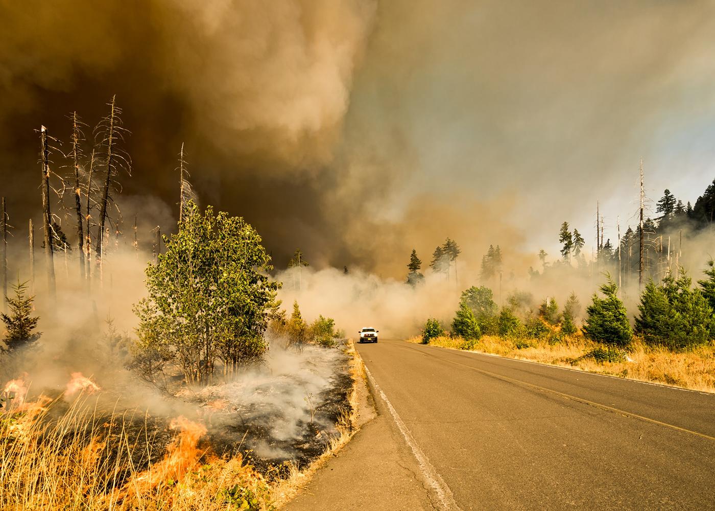 Has Your Property Been Impacted By Wildfires? Take These Next Steps To File a Claim
